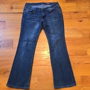 Express Dark Blue Flare Jeans